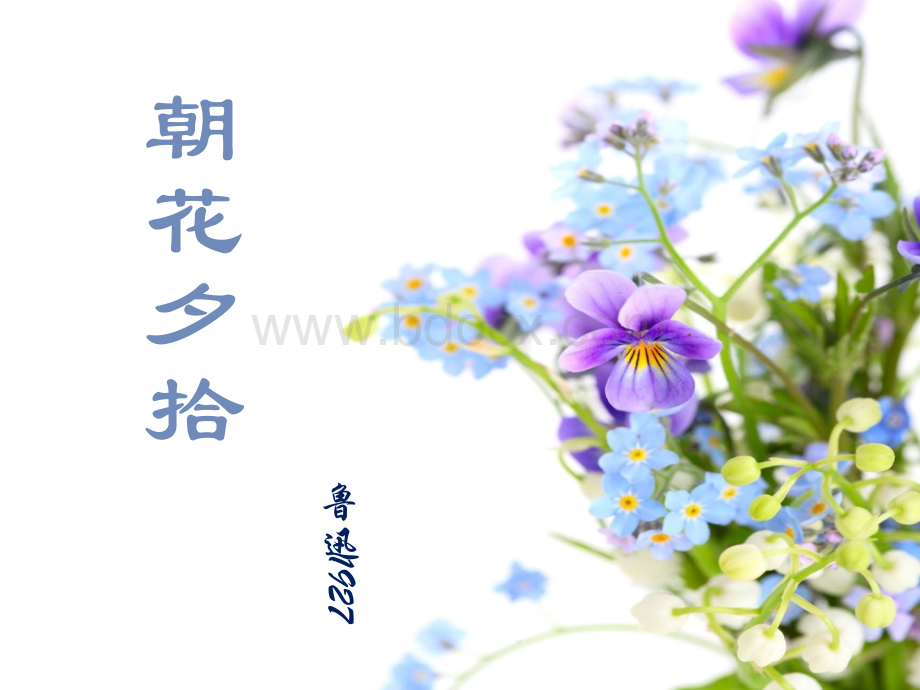 第三单元名著导读《朝花夕拾》ppt课件(71页).ppt