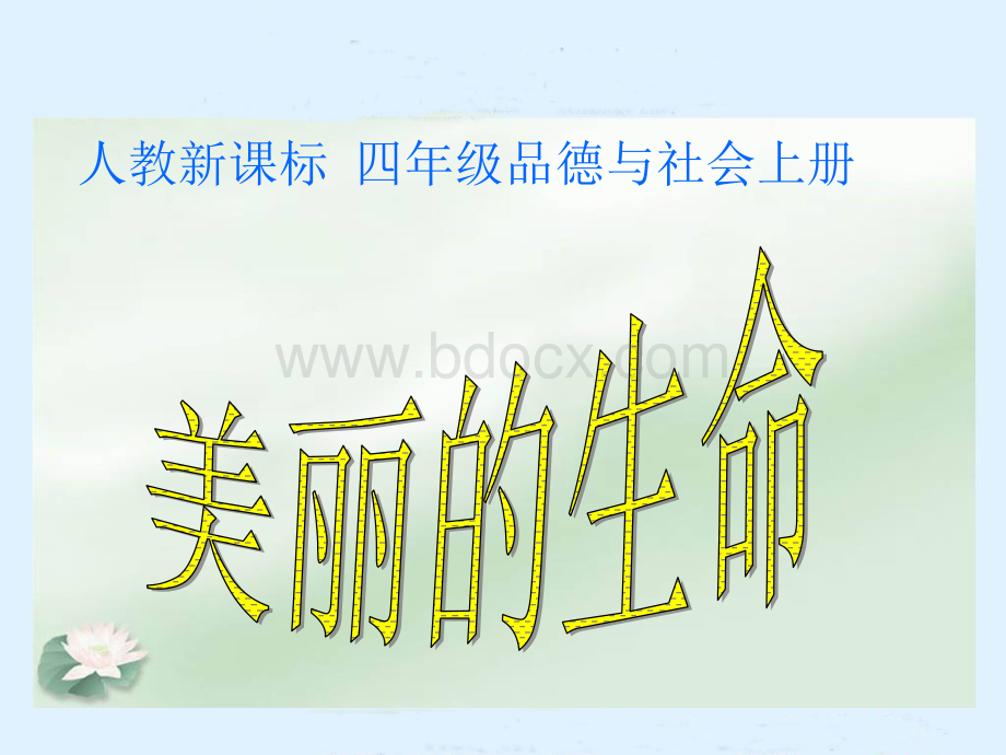 《美丽的生命》PPT课件.ppt