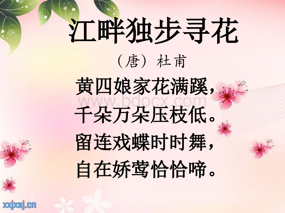 古诗《江畔独步寻花》.ppt_第3页