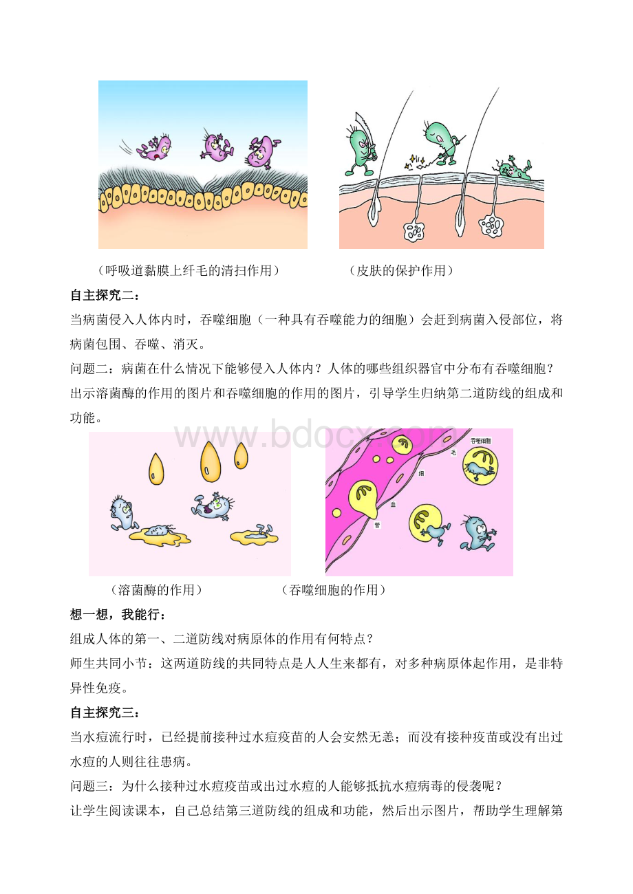 第二节免疫与计划免疫教学设计.doc_第3页