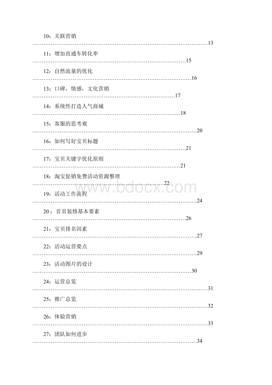 电商运营管理手册非常好的资料文档格式.docx_第2页