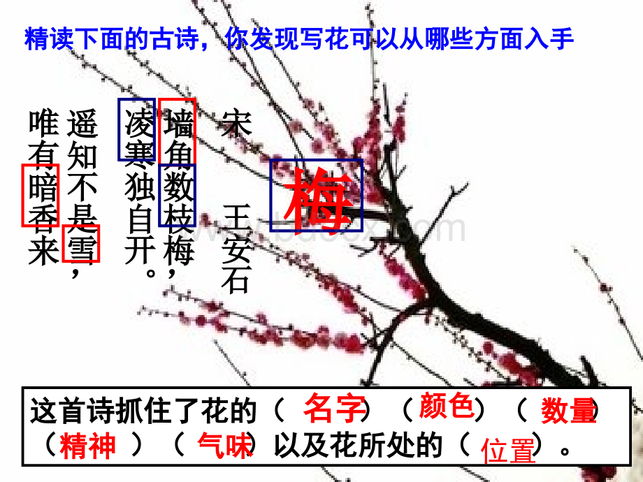 如何描写花.ppt_第3页