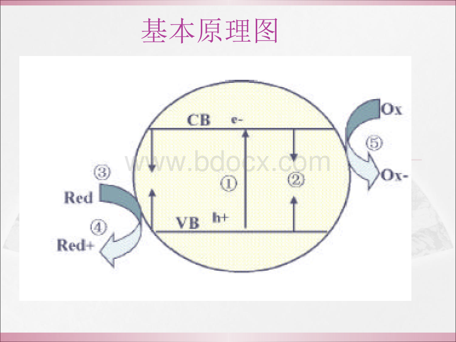 水处理课件：消毒.ppt_第3页