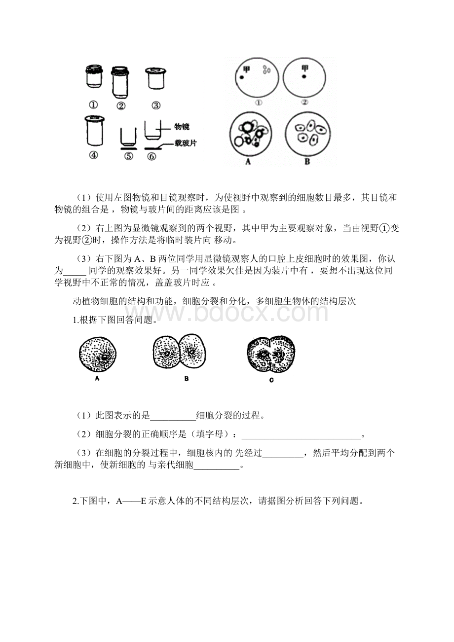 最新中考生物重点识图题.docx_第2页