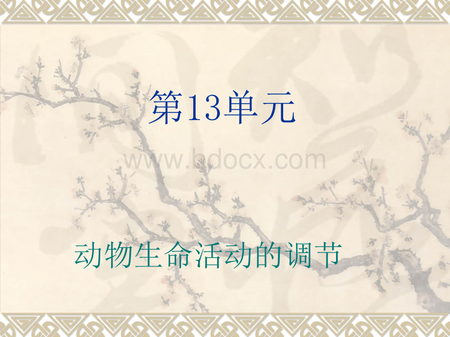 高中生物二轮复习课件：动物生命活动的调节(必修1、2、3)(阜阳一中)04.ppt_第1页