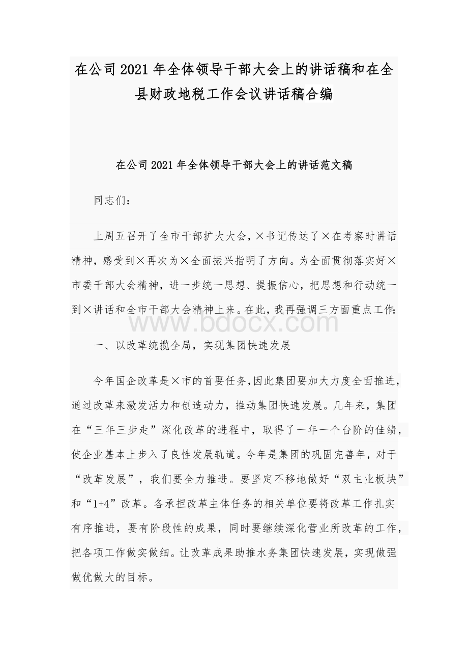 在公司2021年全体领导干部大会上的讲话稿和在全县财政地税工作会议讲话稿合编Word下载.docx