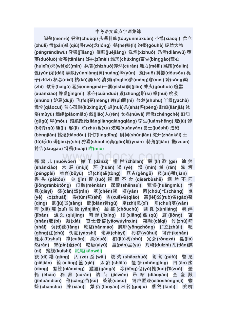 中考语文重点字词集锦Word文档下载推荐.doc