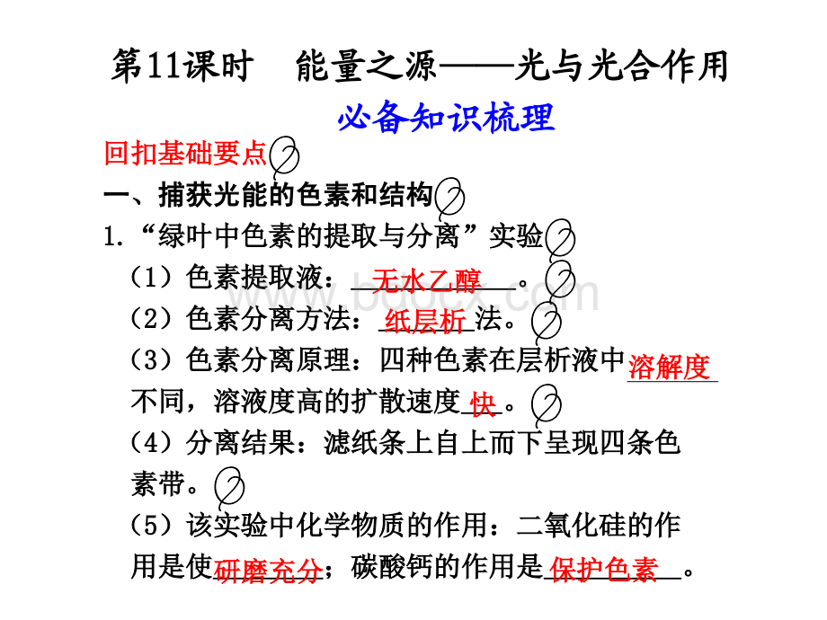 高考生物一轮复习资料第11课时PPT资料.ppt_第1页