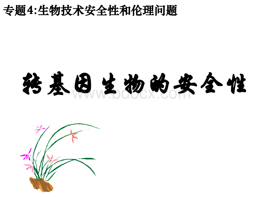 转基因生物的安全性(公开课).ppt