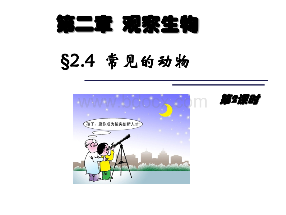 常见的动物2PPT资料.ppt