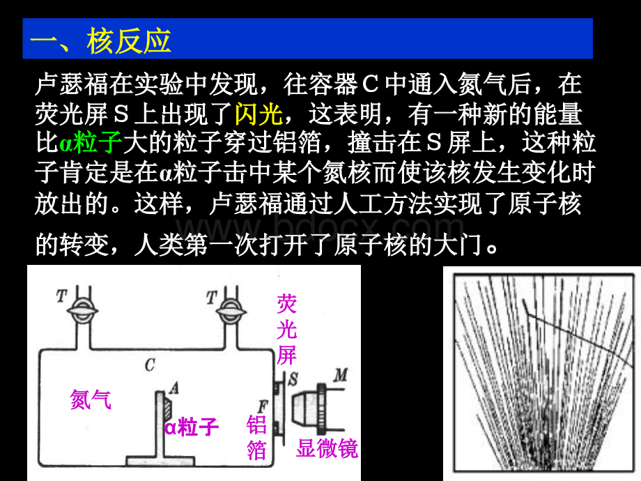 SAT2-物理【3-5】《放射性的应用与防护》ppt课件PPT格式课件下载.ppt_第3页