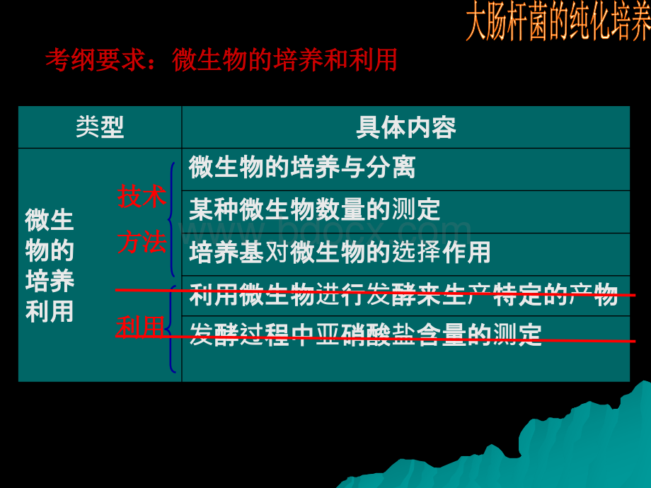 高中生物核心概念高考复习课件-微生物培养与应用B.ppt_第2页