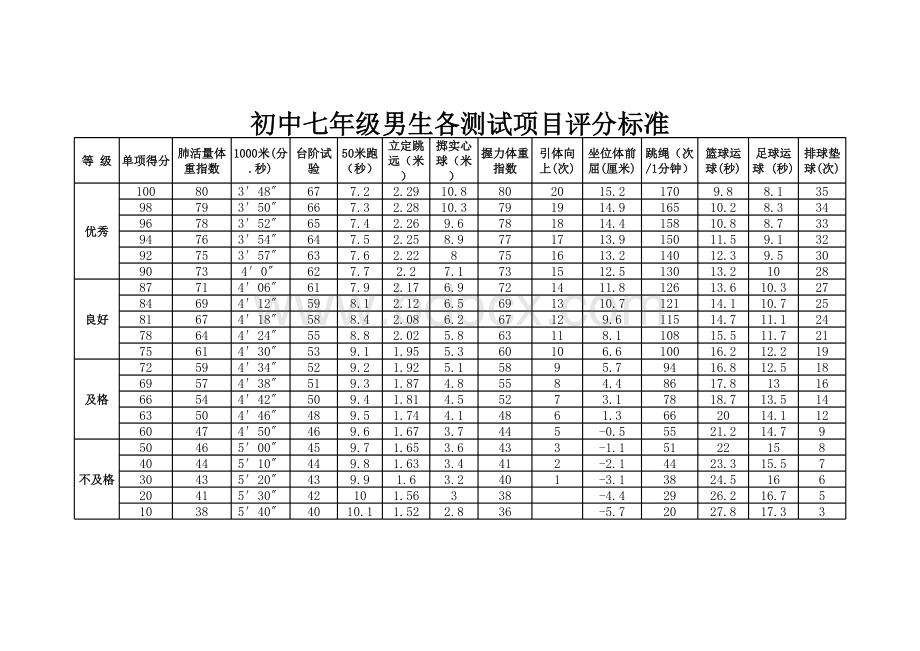 初中体育各项测试项目评分标准.xls