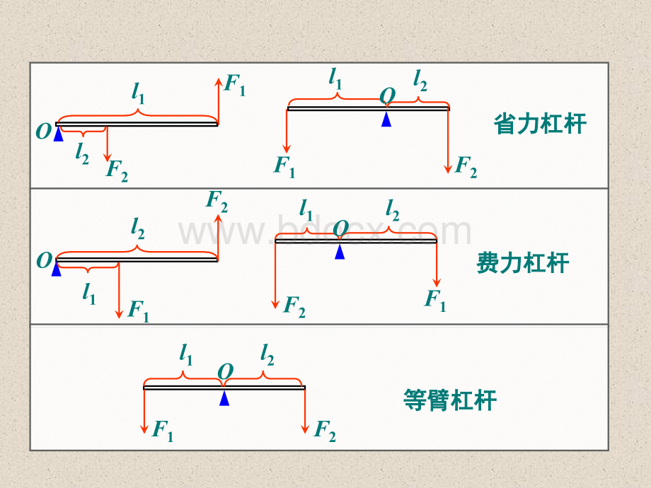 滑轮.优秀课件.ppt_第3页