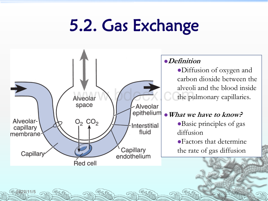 呼吸科呼吸系统课件.ppt_第1页