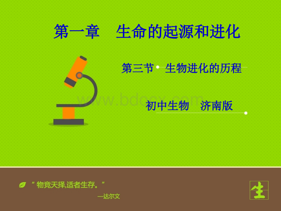 《生物进化的历程》课件.ppt