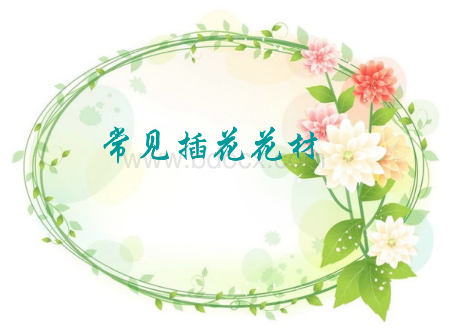 常见插花花材.ppt_第1页