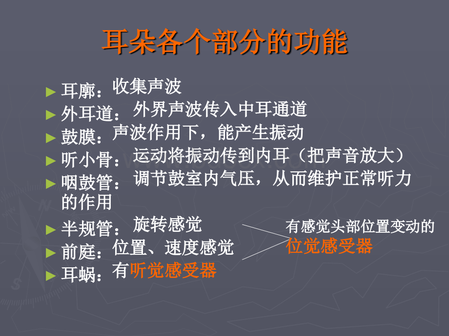 耳的结构与听觉的形成[科学].ppt_第3页