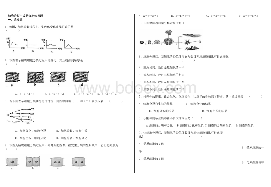 细胞分裂生成新细胞练习题.doc_第1页