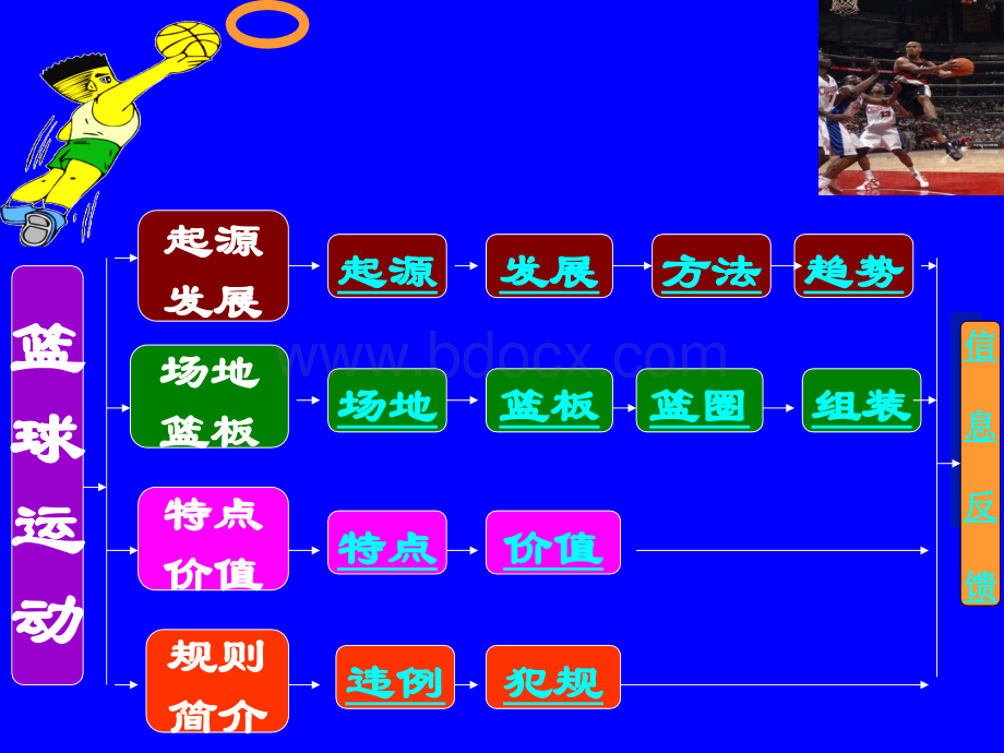 初中体育-篮球运动基础知识课件[1]PPT课件下载推荐.pptx_第3页