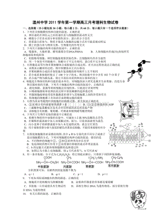 温州中学2011学年第一学期高三月考理科生物试卷.doc