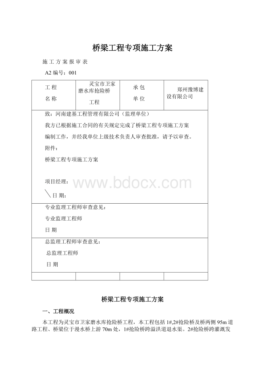 桥梁工程专项施工方案.docx