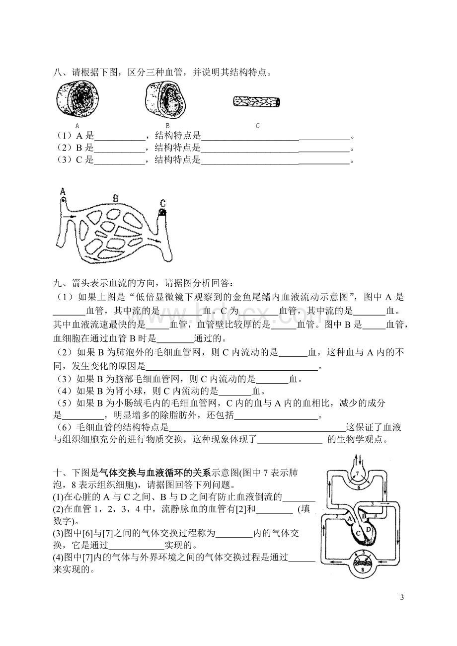 初中生物七年级下册复习资料-填图.doc_第3页