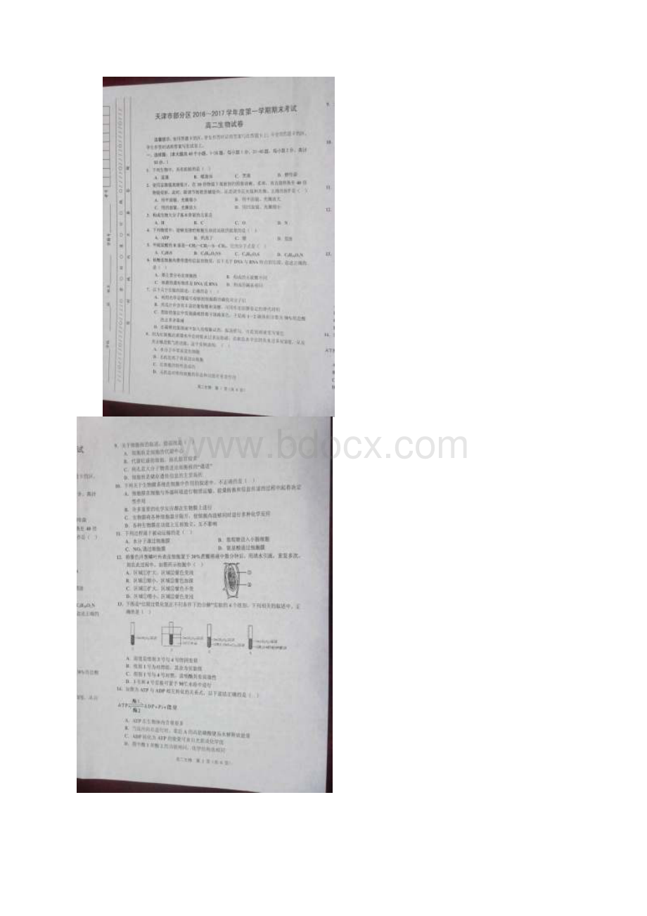 天津市五区县高二生物上学期期末考试试题Word文件下载.docx_第2页