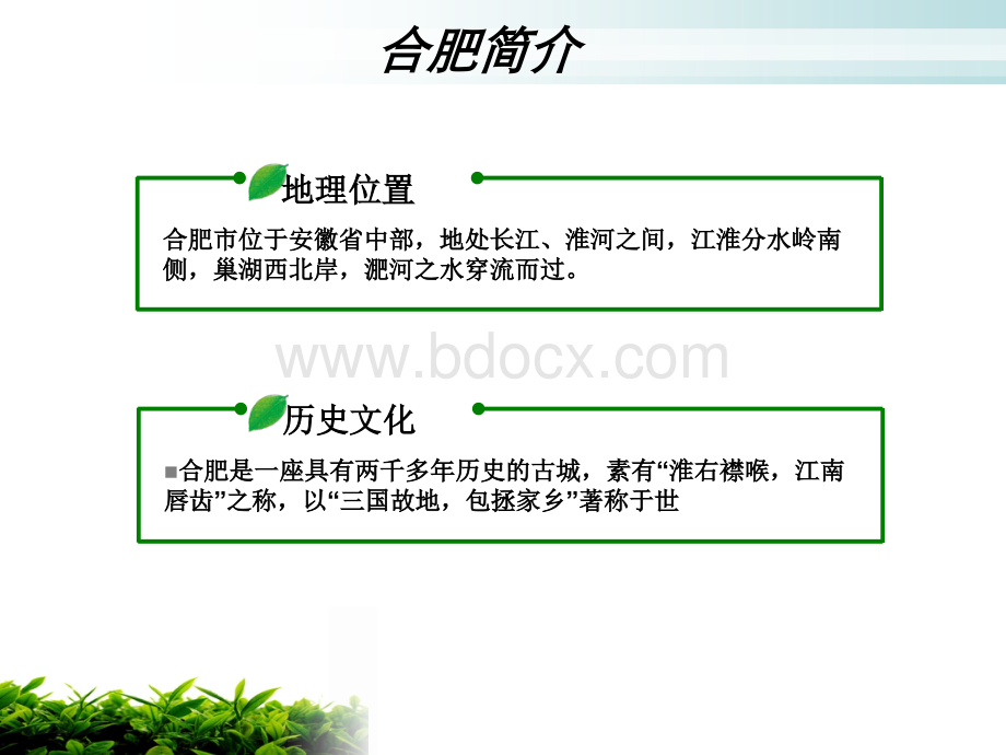 合肥总体规划调查报告.ppt_第2页