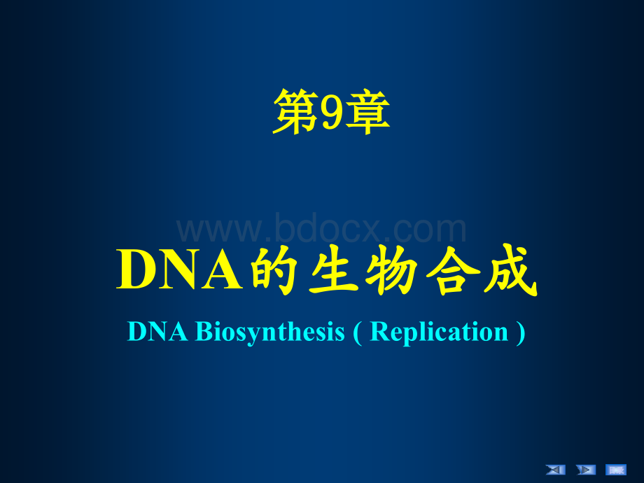 生物化学课件第12章DNA的生物合成PPT推荐.ppt