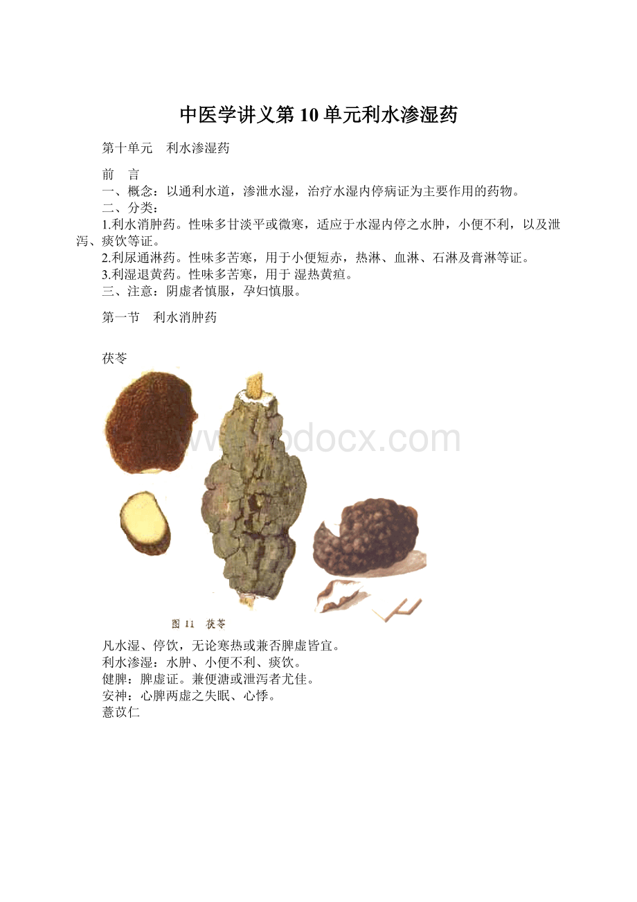 中医学讲义第10单元利水渗湿药.docx_第1页