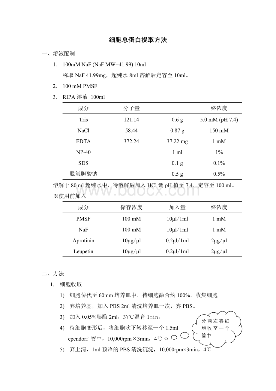 细胞总蛋白提取方法Word文档下载推荐.doc