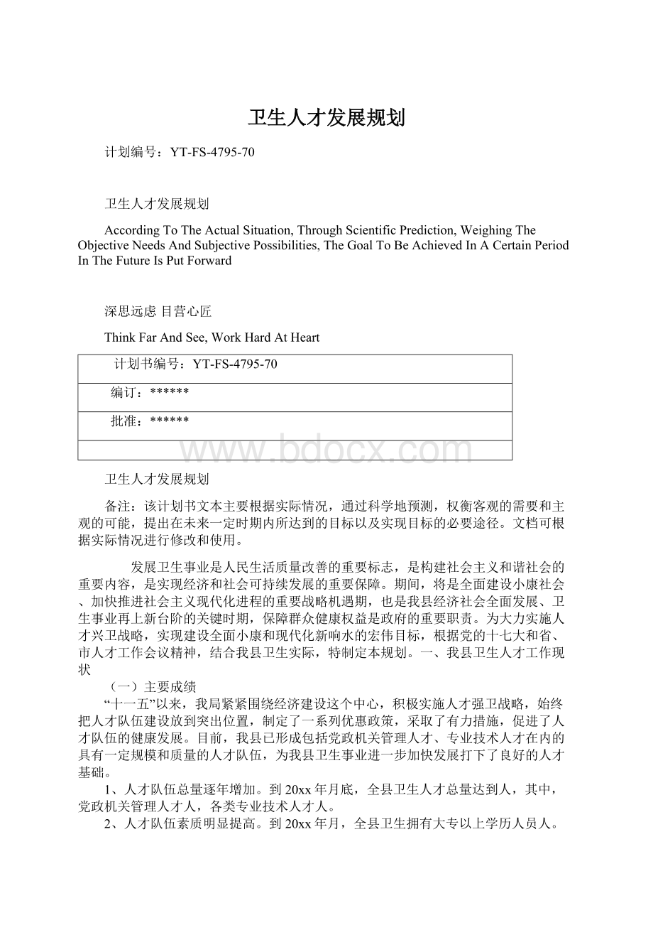 卫生人才发展规划文档格式.docx_第1页