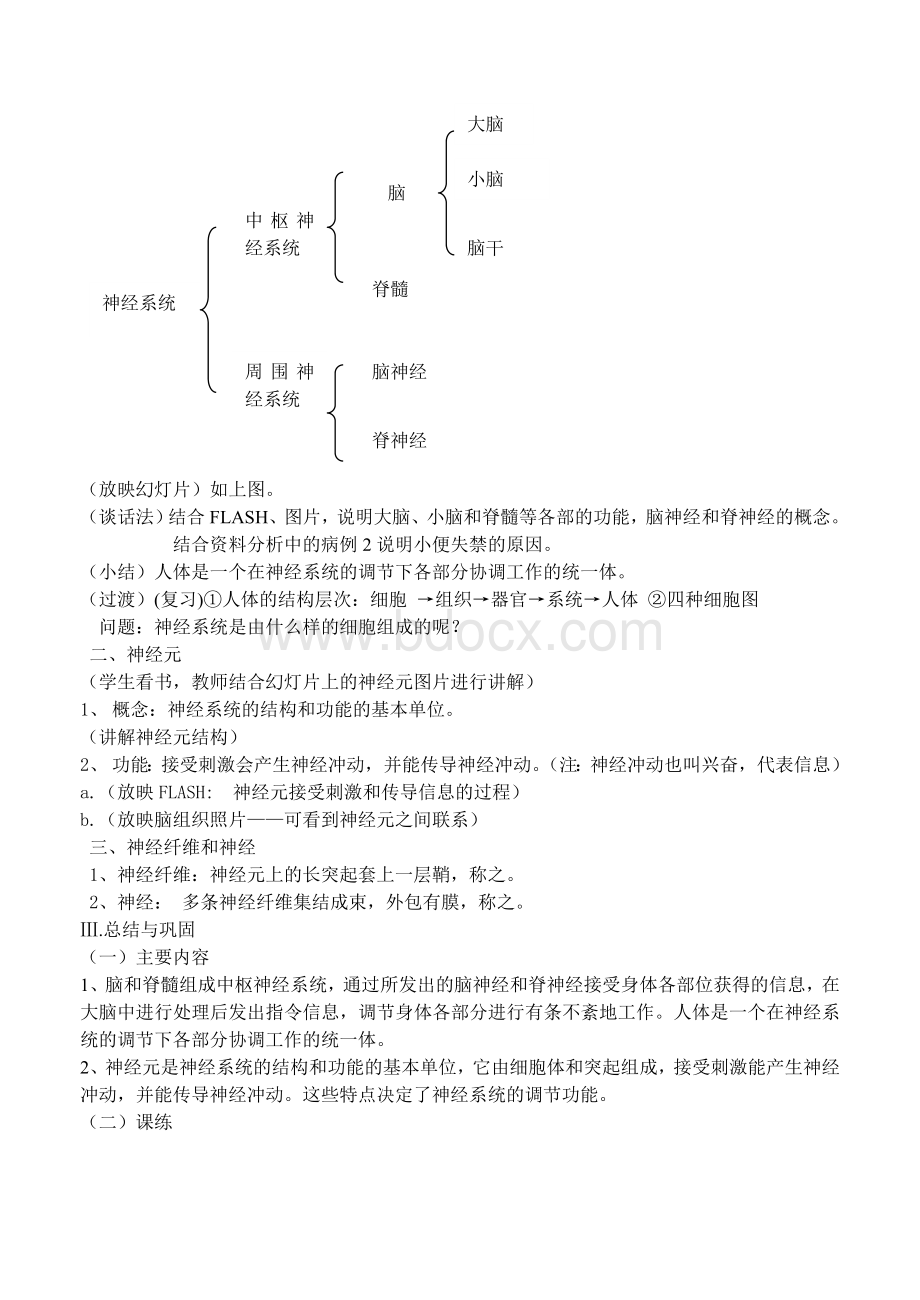 神经系统的组成教案Word文件下载.doc_第2页