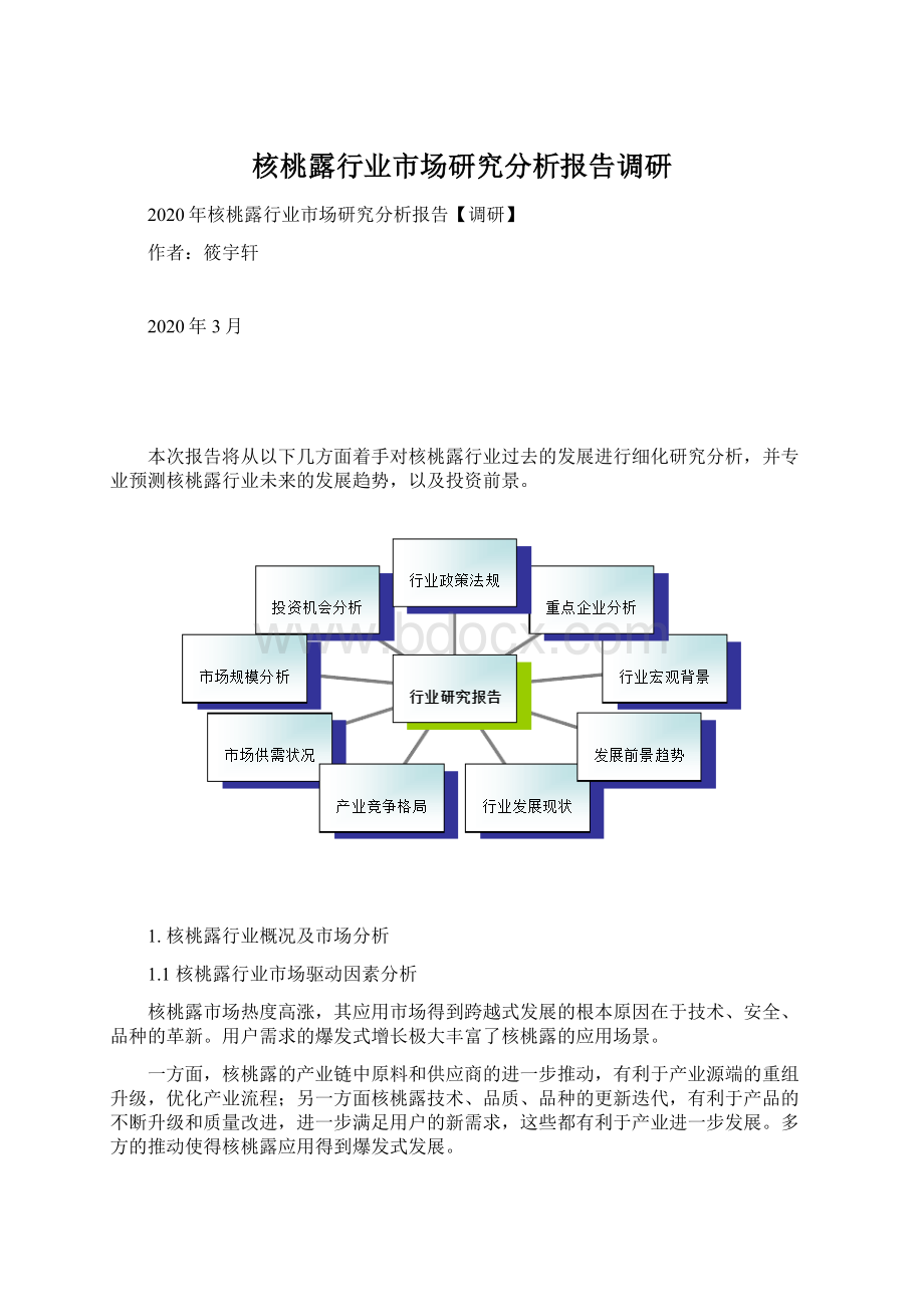 核桃露行业市场研究分析报告调研文档格式.docx