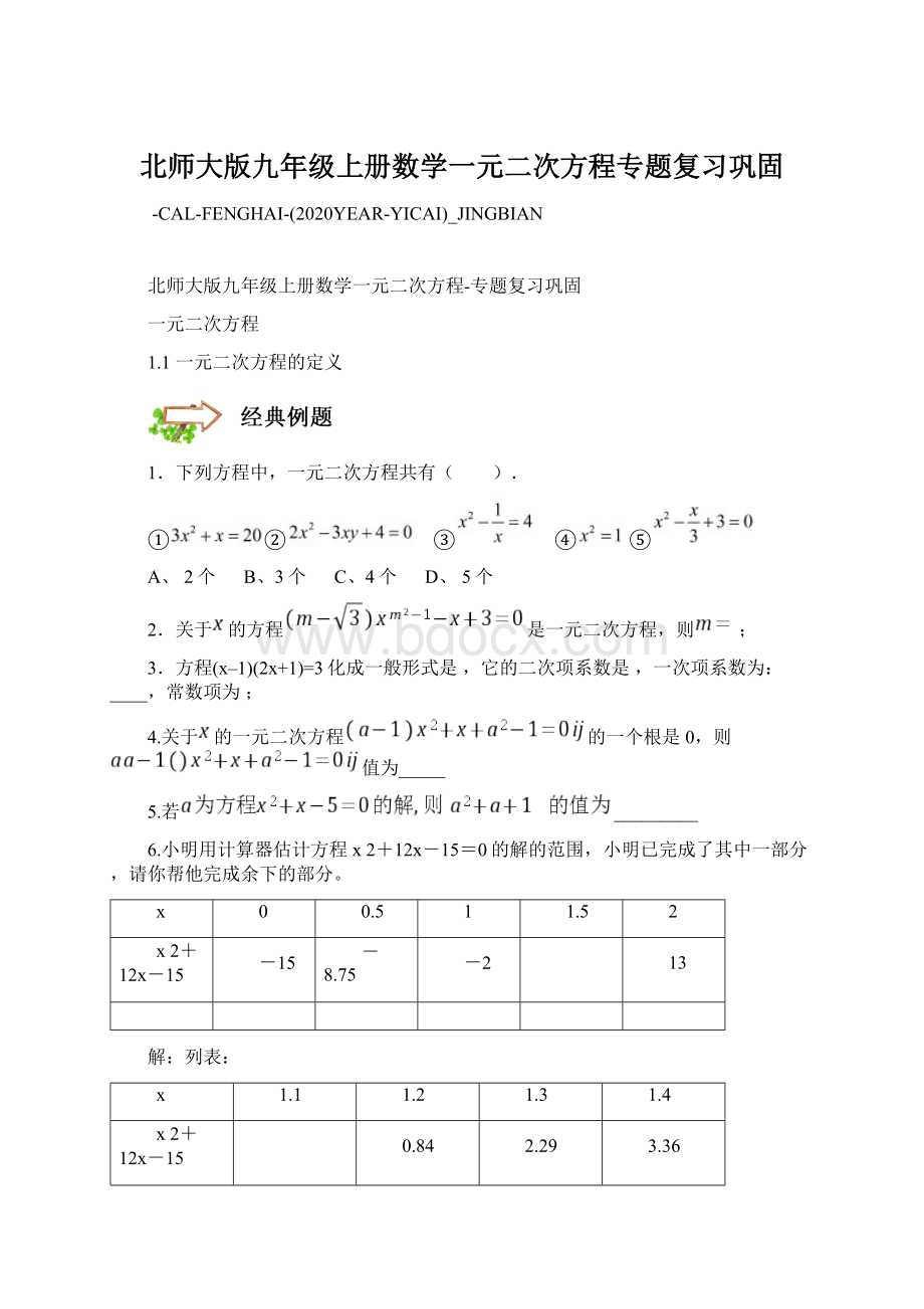 北师大版九年级上册数学一元二次方程专题复习巩固.docx