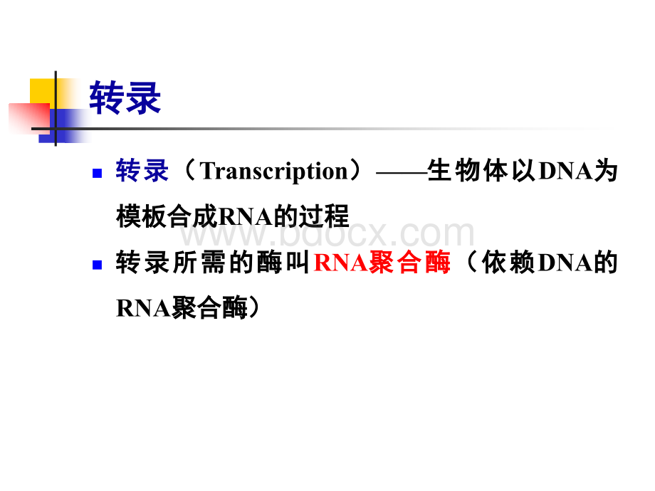 浙大生物化学课件16：RNA的生物合成.pptx_第3页