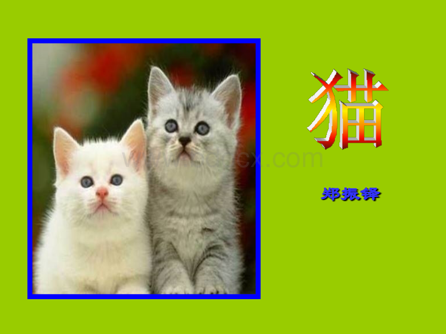 郑振铎《猫》定稿ppt课件讲课.ppt_第1页