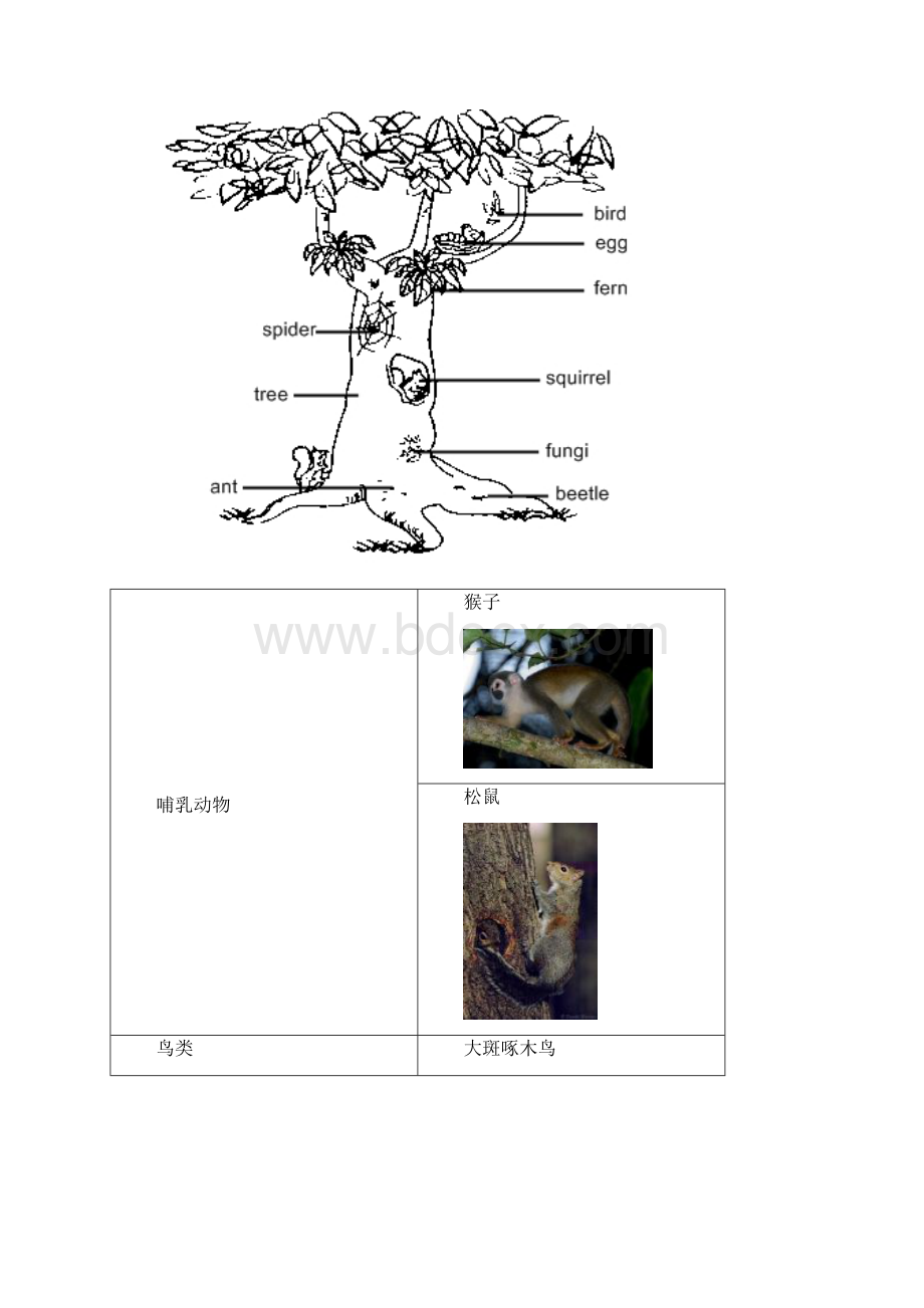 33树的乐园Word格式文档下载.docx_第3页