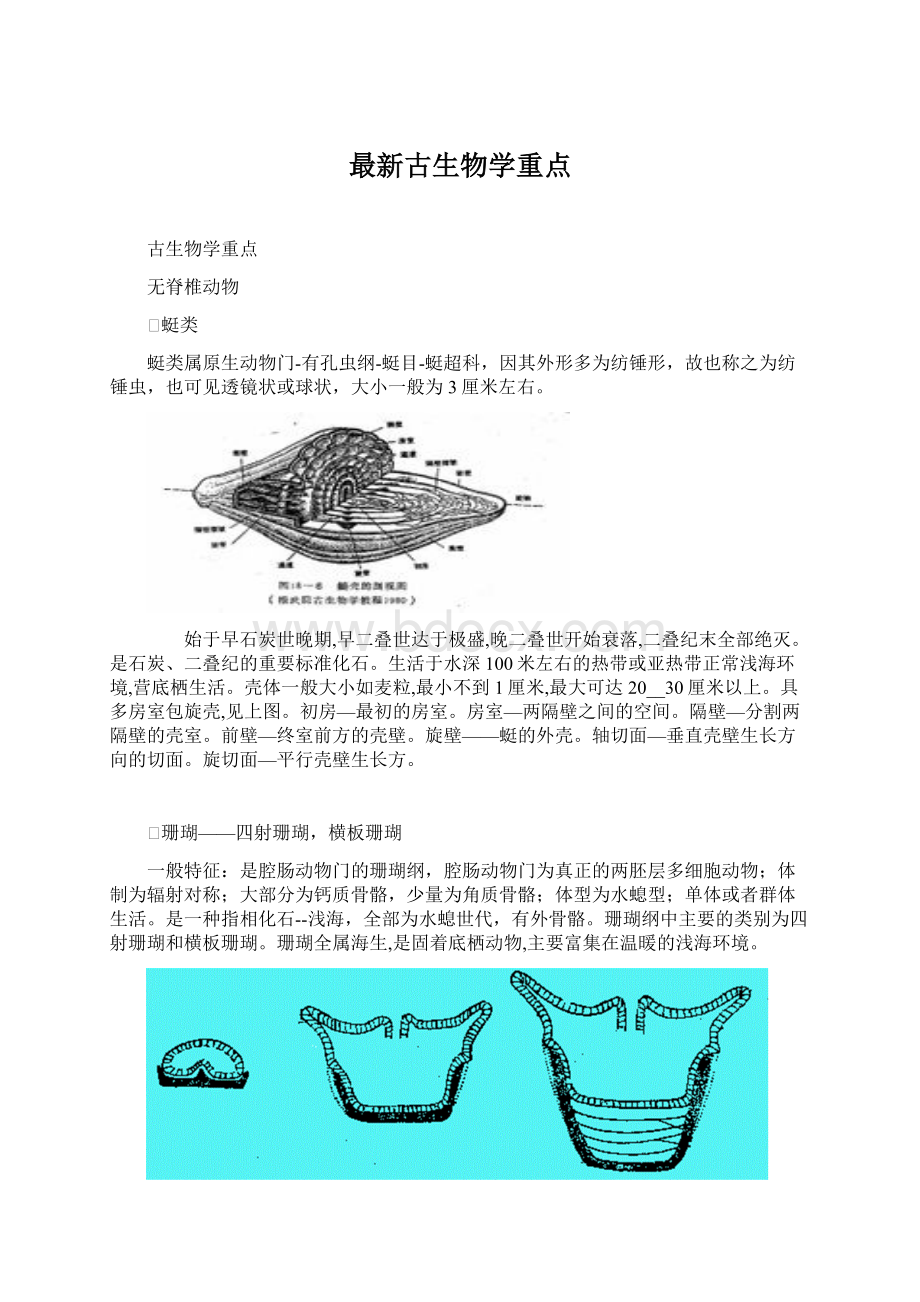 最新古生物学重点.docx_第1页