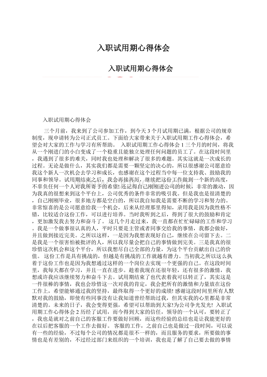 入职试用期心得体会Word格式文档下载.docx