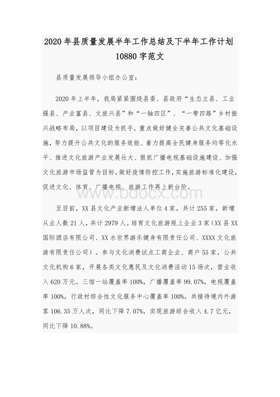 2020年县质量发展半年工作总结及下半年工作计划10880字范文.docx_第1页