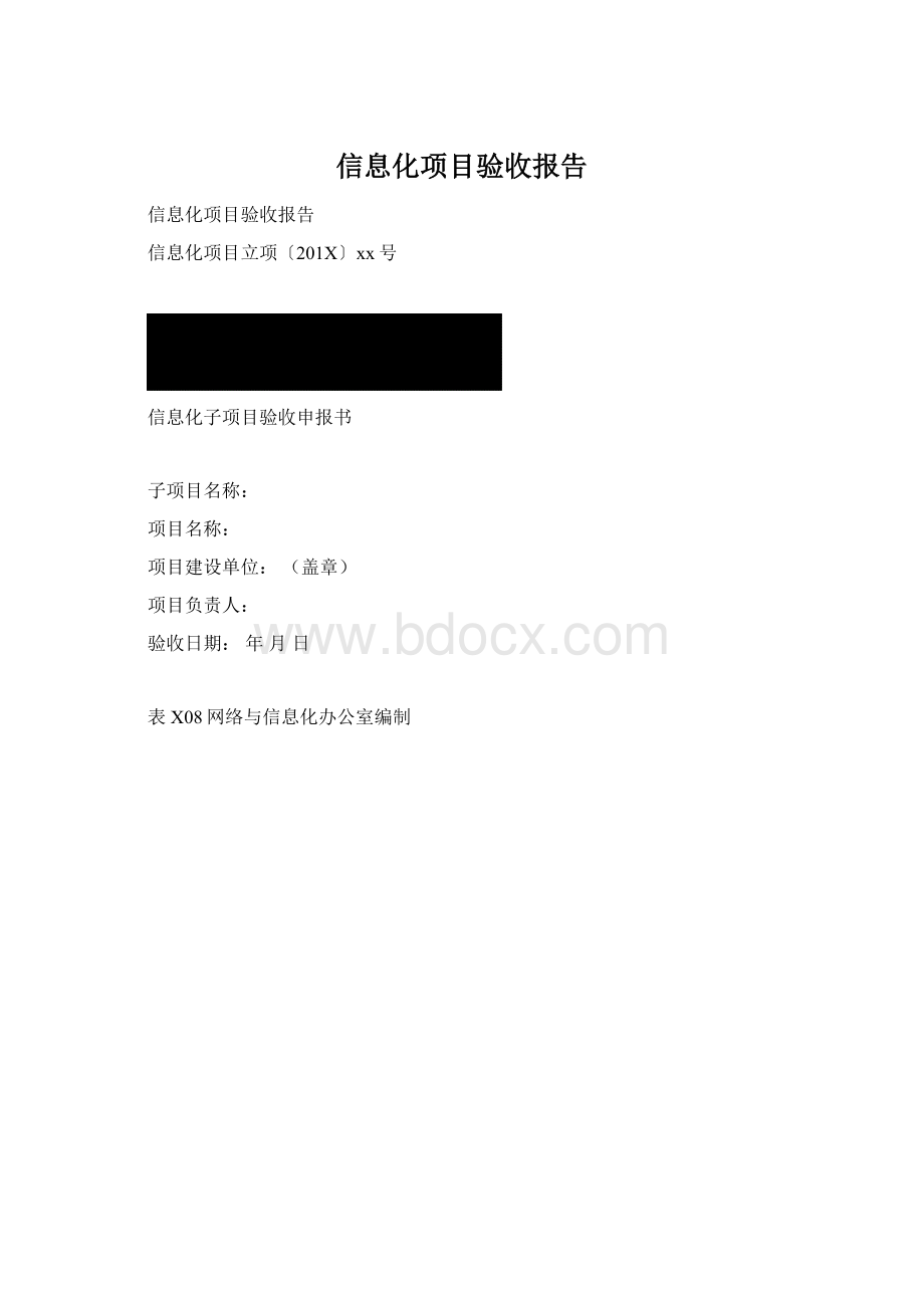 信息化项目验收报告.docx