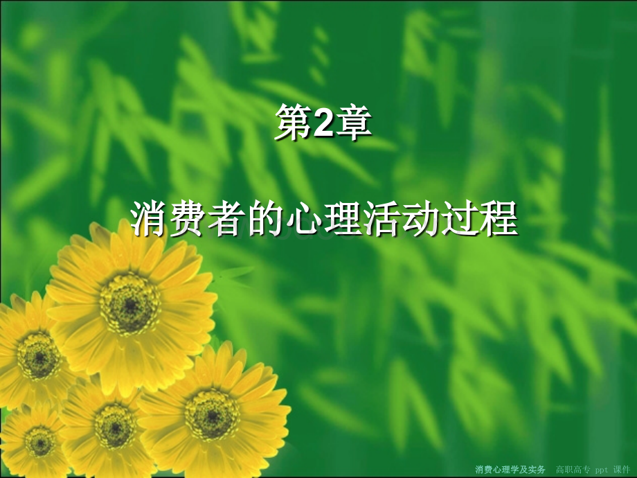 消费心理学及实务课件.ppt_第2页