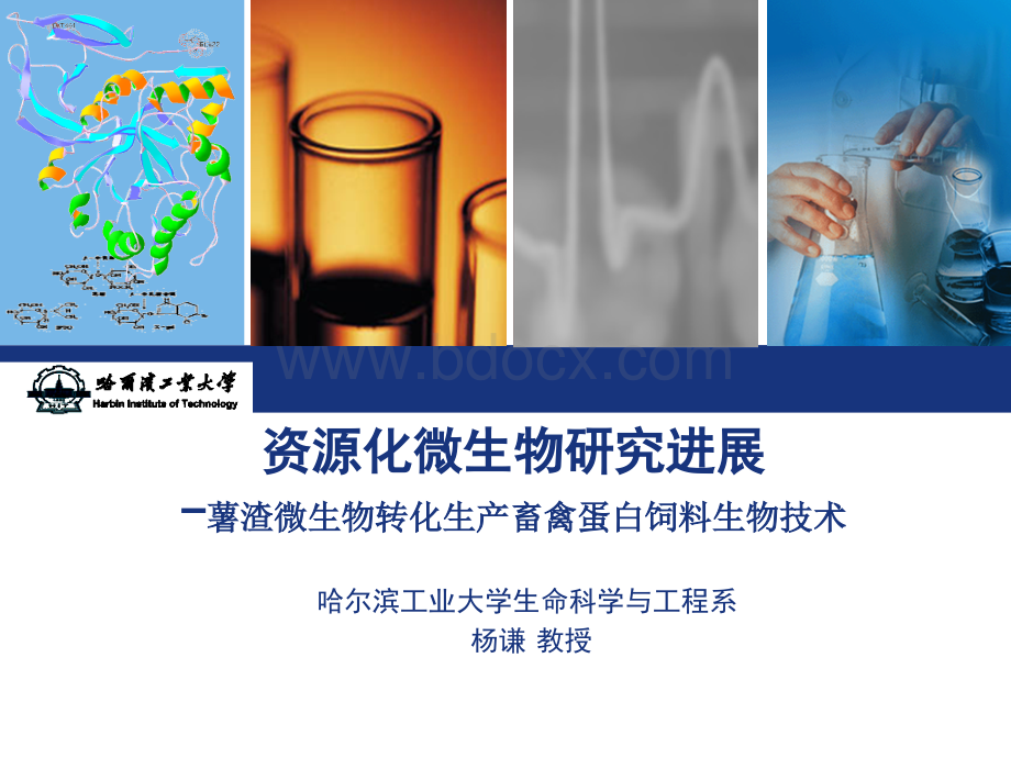 资源化微生物研究进展[1]...ppt