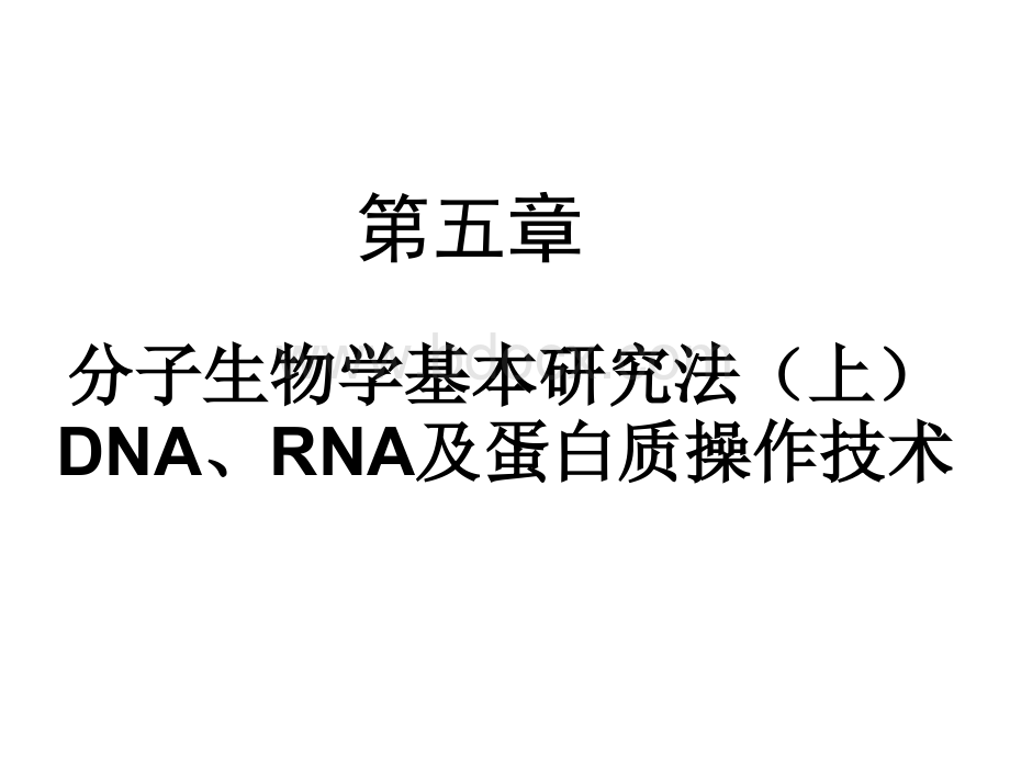 分子生物学研究法下PPT格式课件下载.ppt