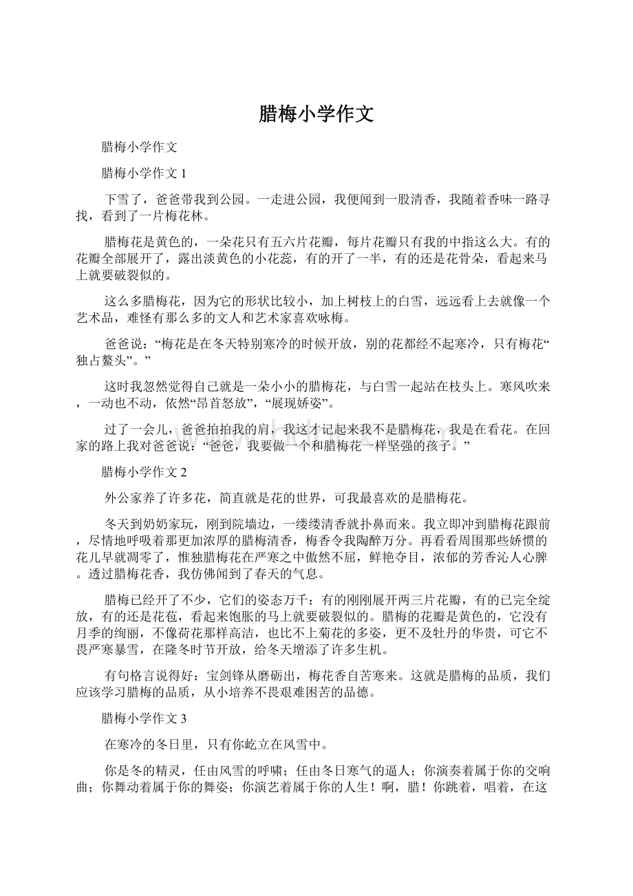 腊梅小学作文Word文档下载推荐.docx