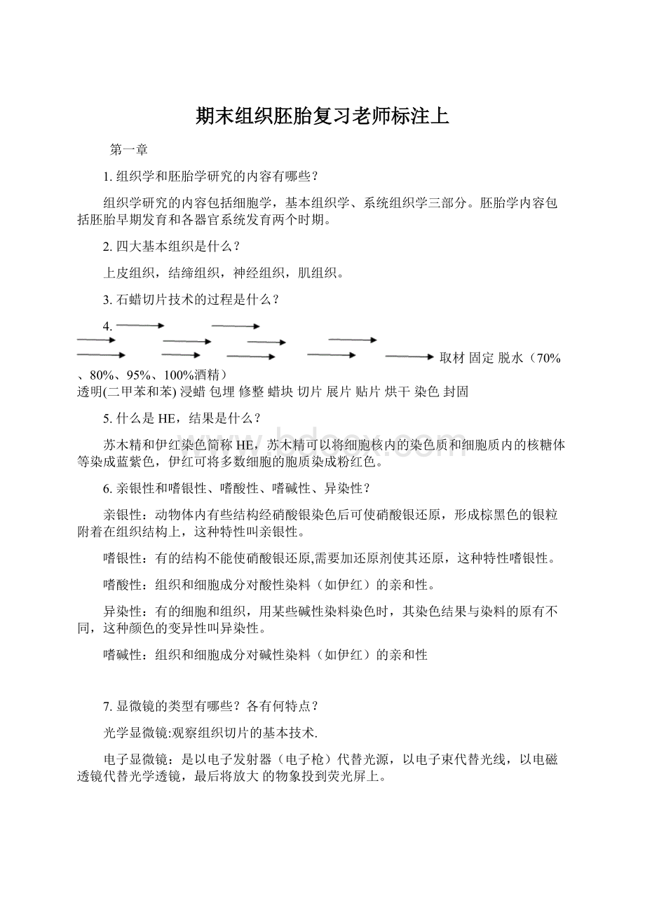 期末组织胚胎复习老师标注上Word下载.docx