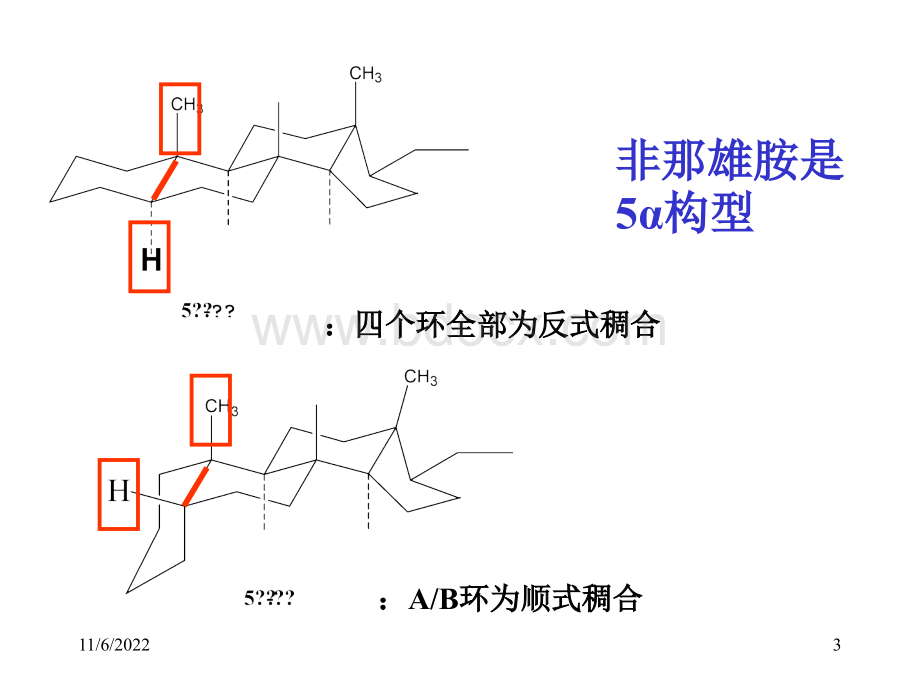 甾体药.ppt_第3页