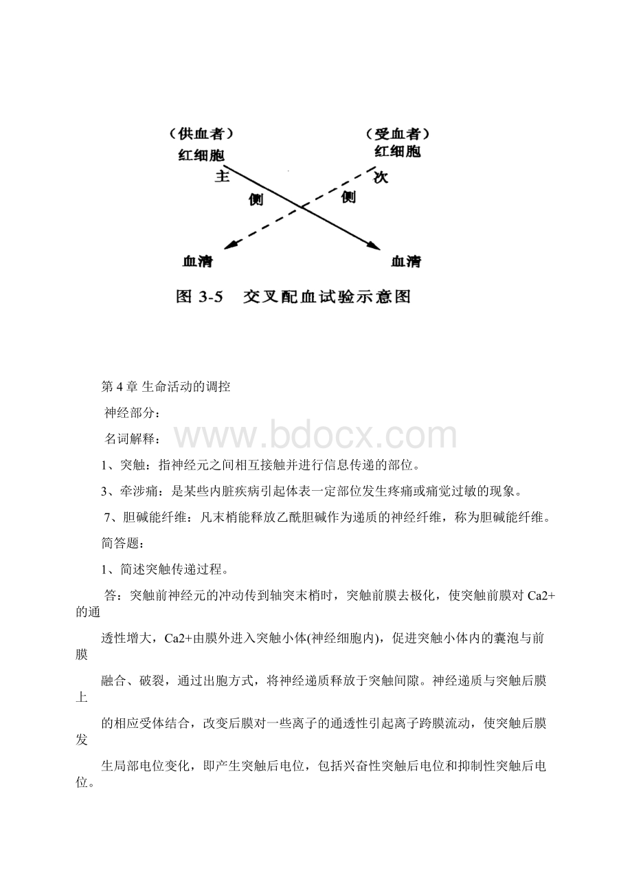 护理专业《生理学》复习题及答案.docx_第3页